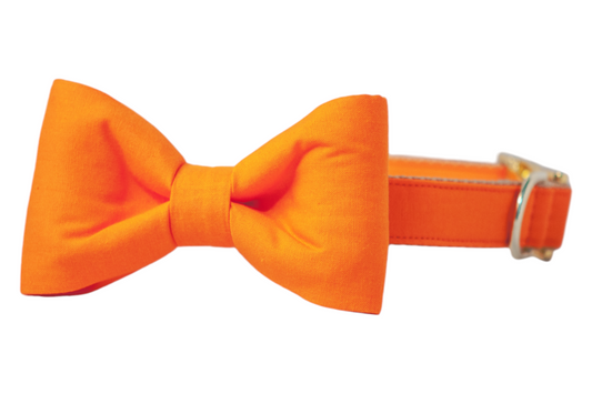 Orange Bow Tie Dog Collar - Crew LaLa
