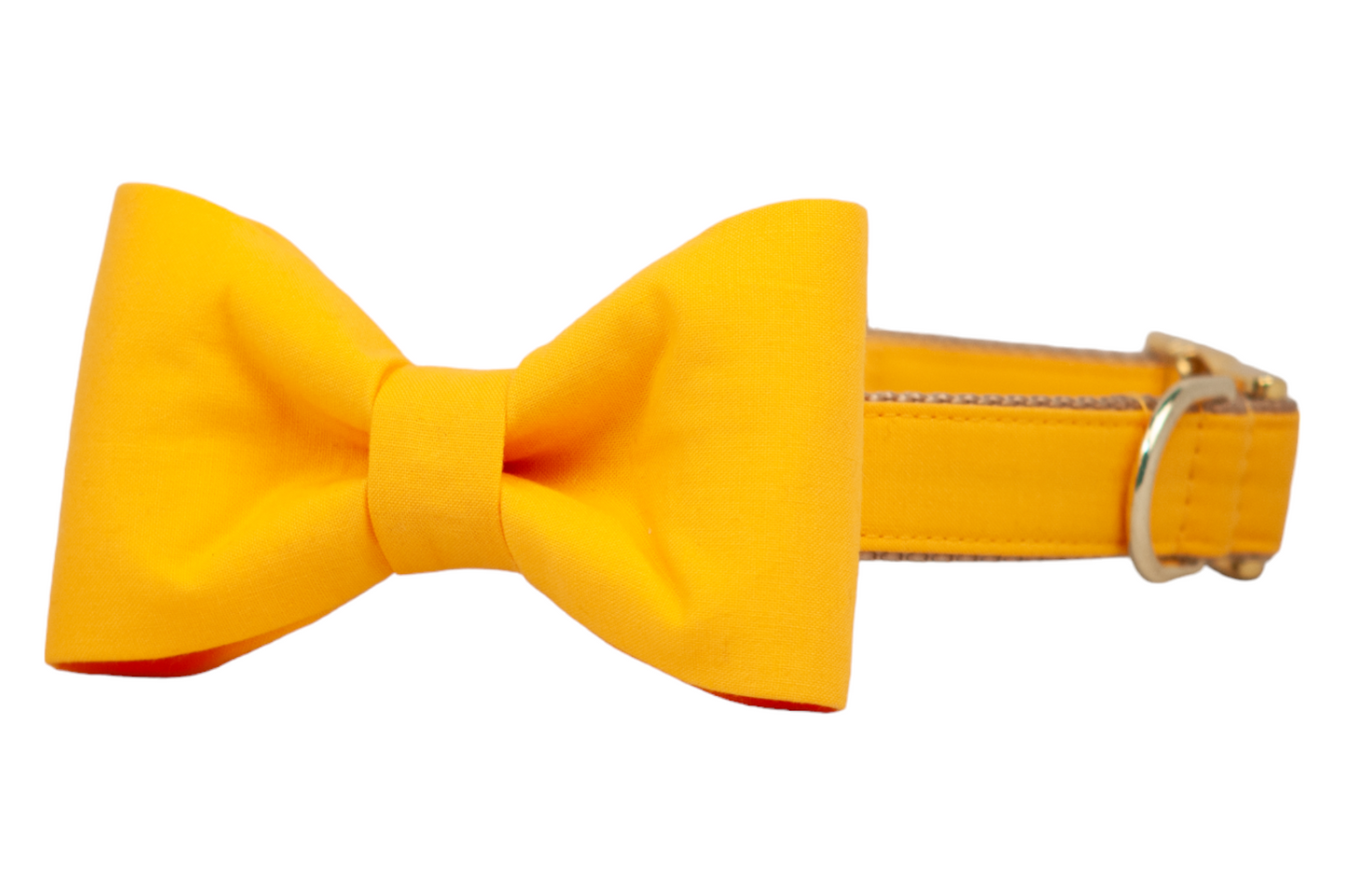 Golden Yellow Bow Tie Dog Collar