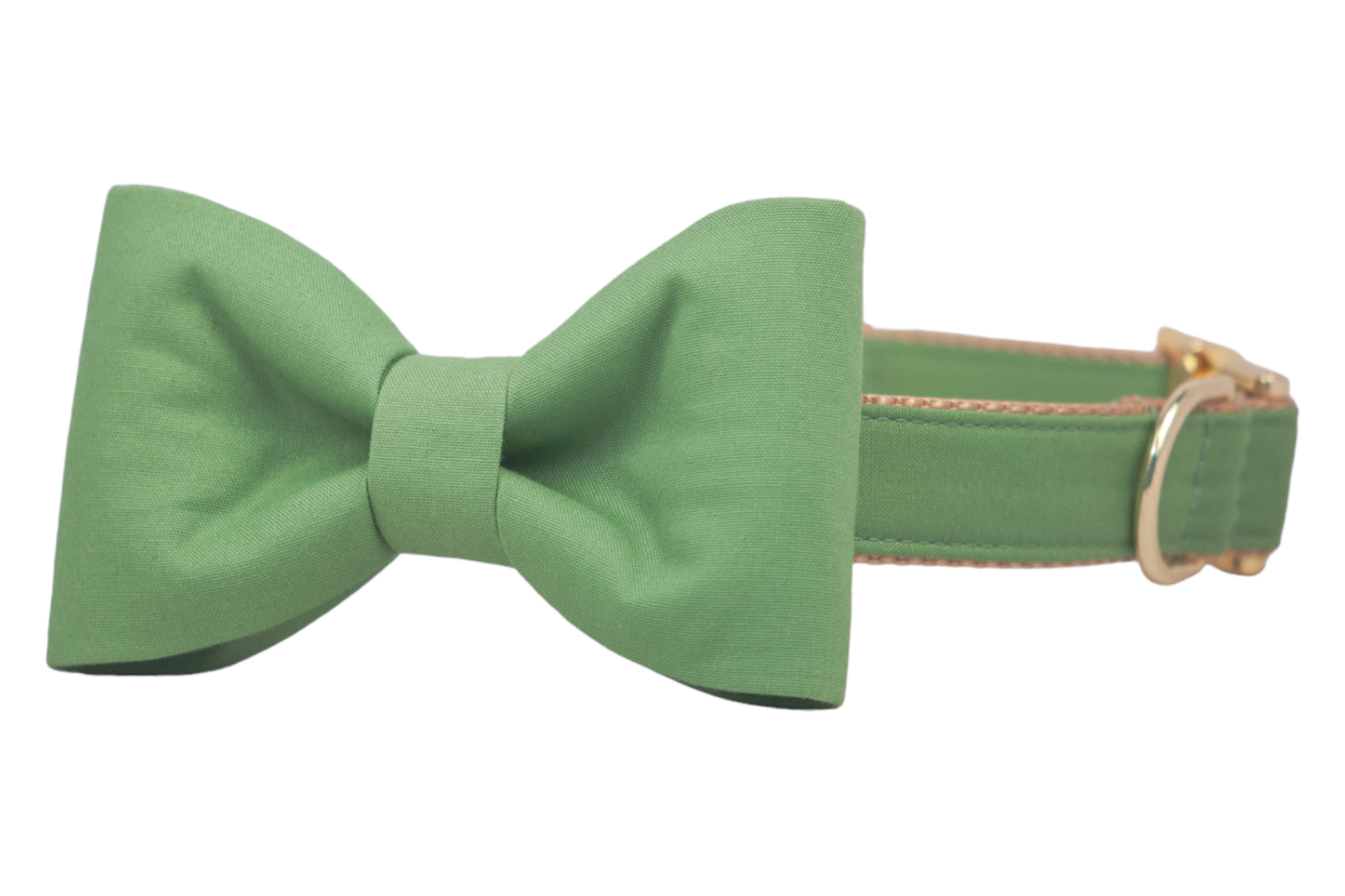 Laurel Green Bow Tie Dog Collar - Crew LaLa
