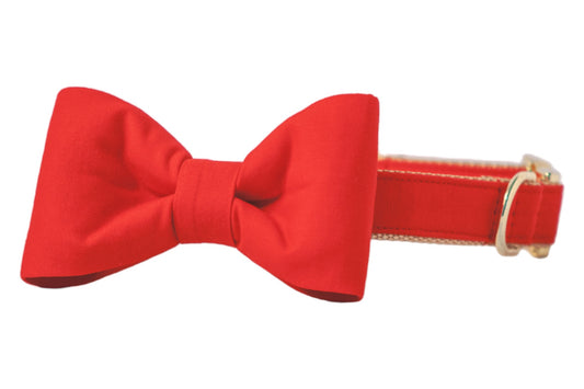 Scarlet Red Bow Tie Dog Collar - Crew LaLa
