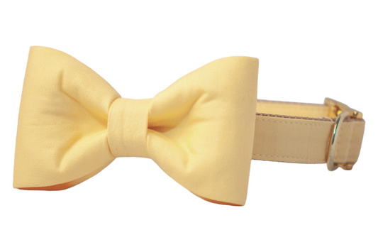 Citrus Yellow Bow Tie Dog Collar - Crew LaLa