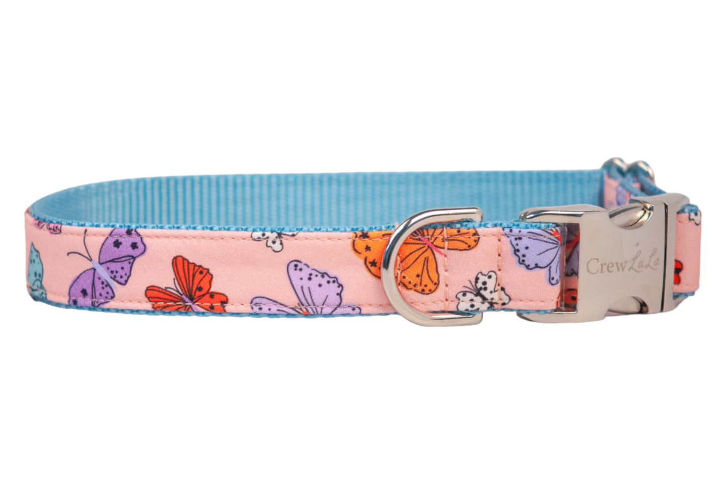 Bright Butterflies Dog Collar on Blue - Crew LaLa