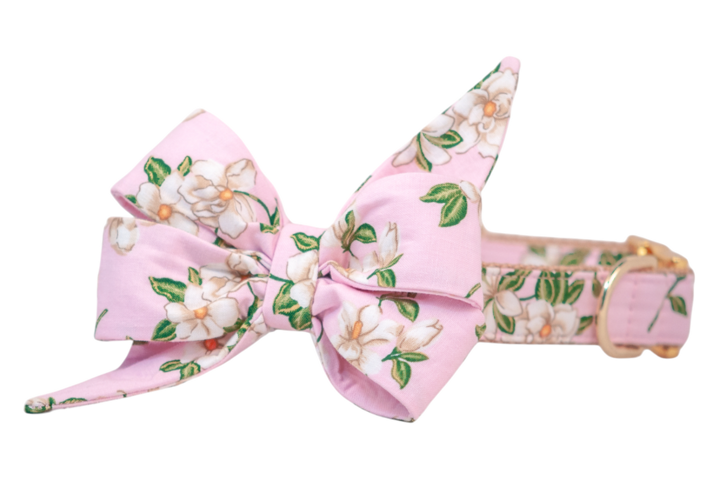 Blush Magnolias Belle Bow Dog Collar - Crew LaLa