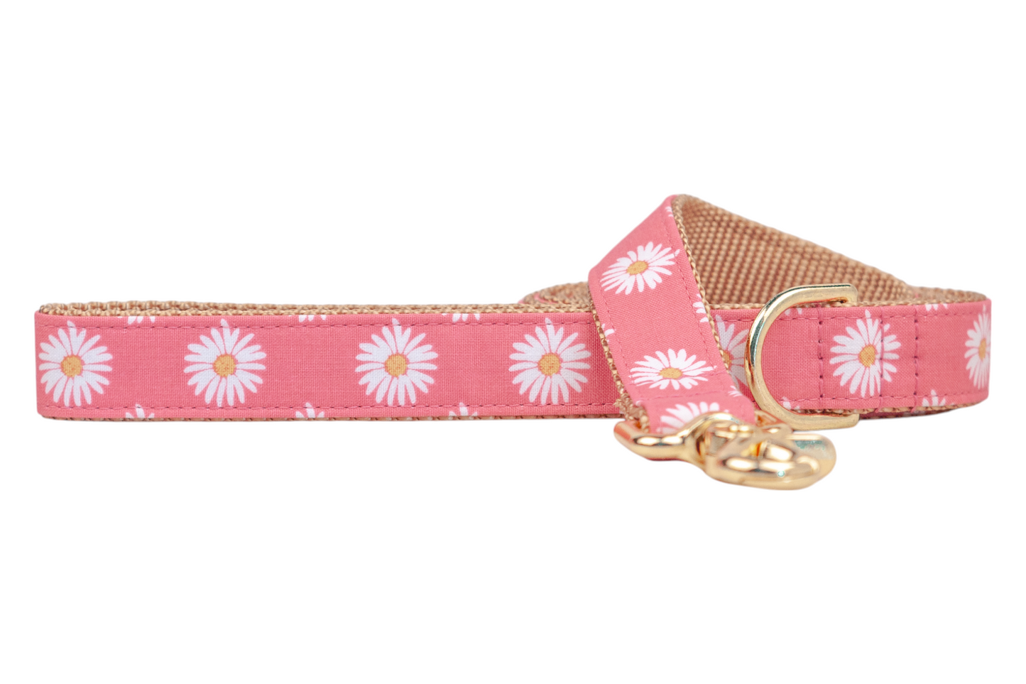 Daisy Crazy Dog Leash - Crew LaLa