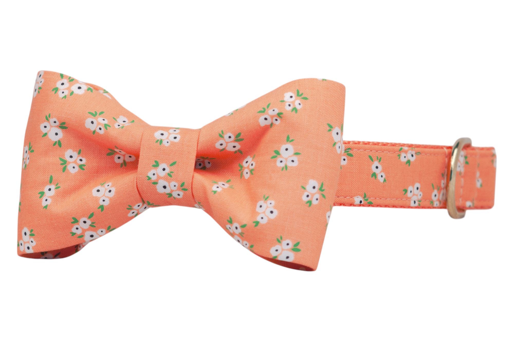 Tangerine Floral Bow Tie Dog Collar - Crew LaLa