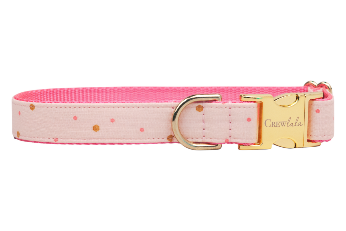 Pretty Party Belle Bow Dog Collar - Crew LaLa