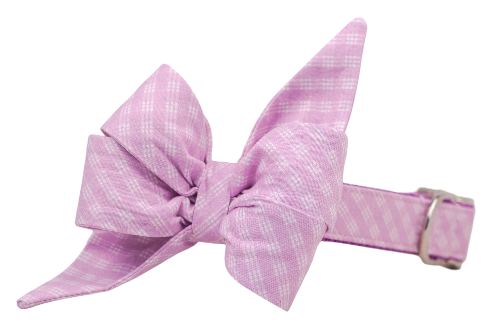 Violet Lattice Belle Bow Dog Collar - Crew LaLa