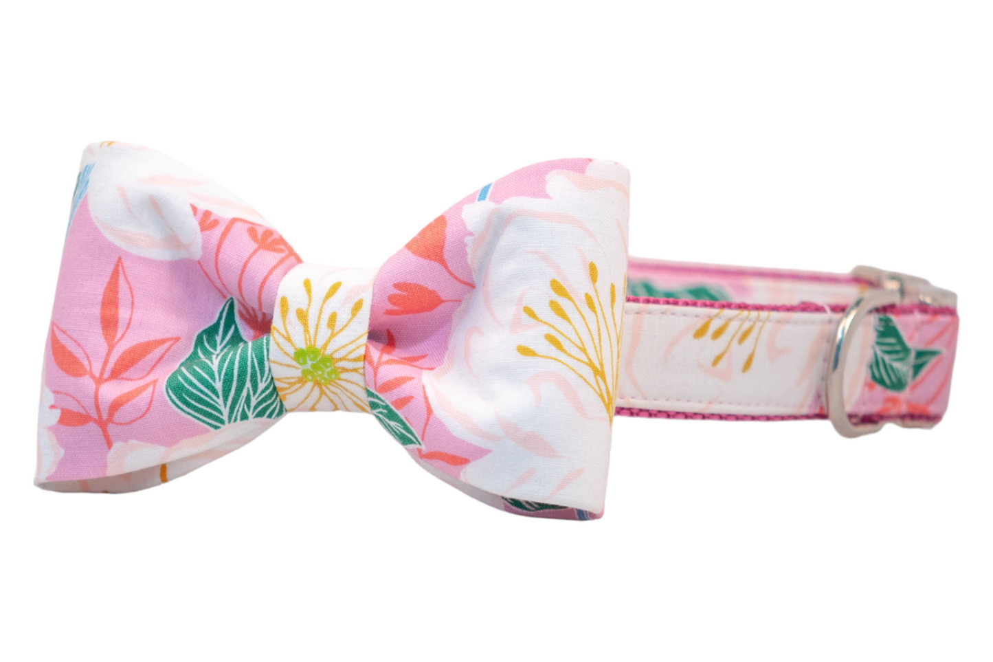 Island Vibes Bow Tie Dog Collar - Crew LaLa