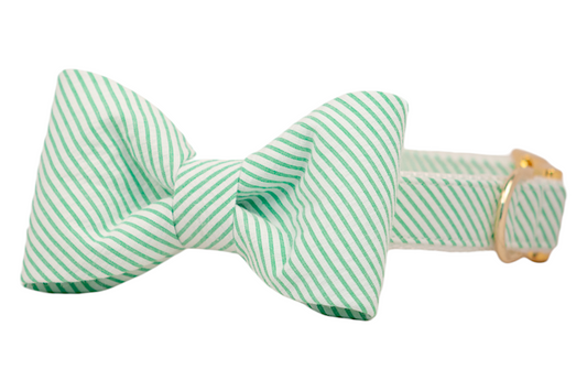 Full Court Green Seersucker Bow Tie Dog Collar - Crew LaLa