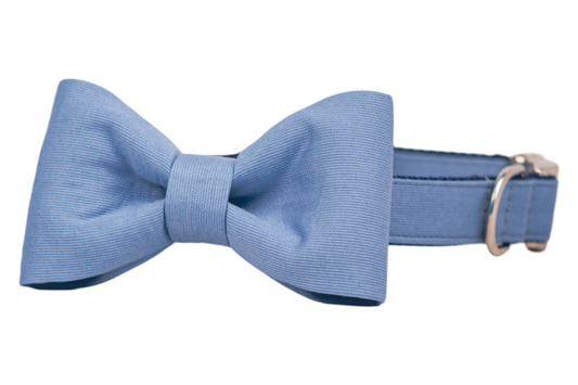 Wedgewood Bow Tie Dog Collar