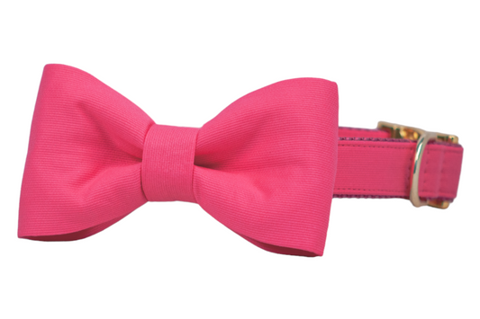 Raspberry Bow Tie Dog Collar