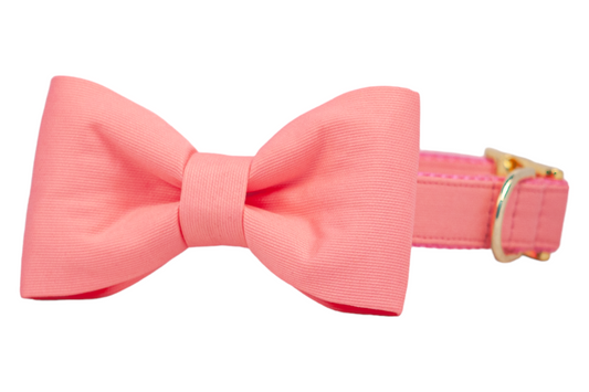 Coral Bow Tie Dog Collar