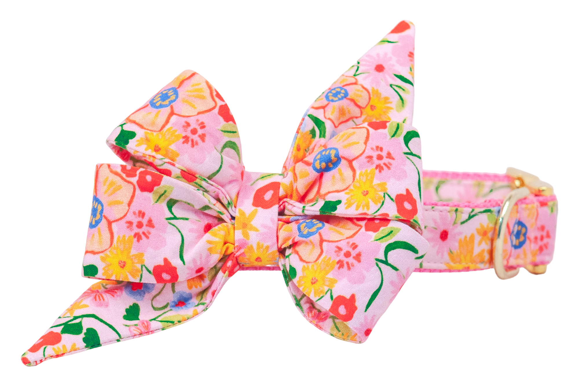 Playful Posies Belle Bow Dog Collar - Crew LaLa