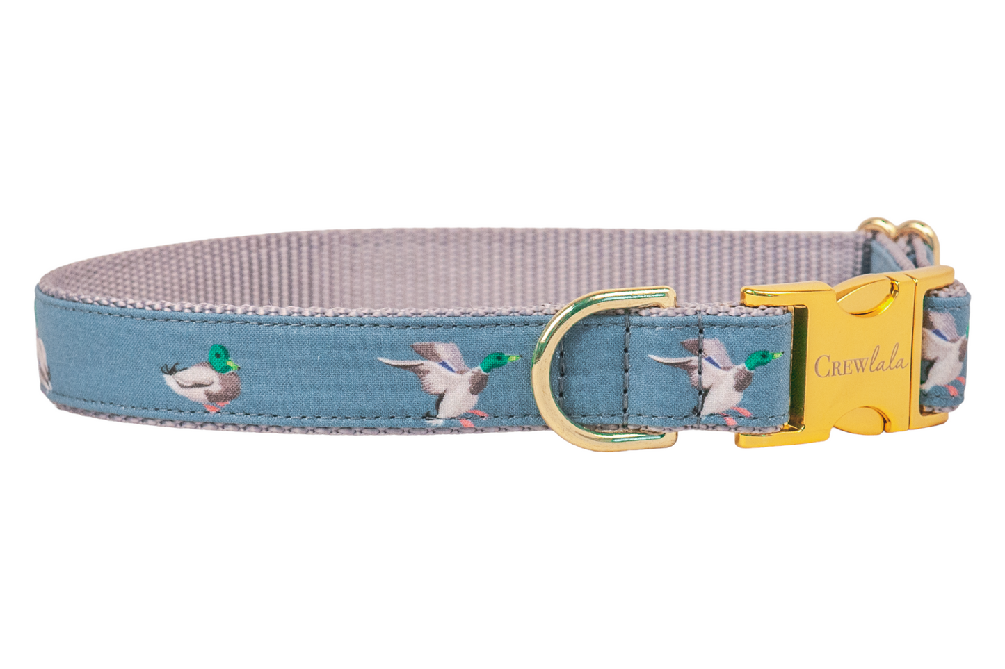 Dapper Duck Belle Bow Dog Collar - Crew LaLa