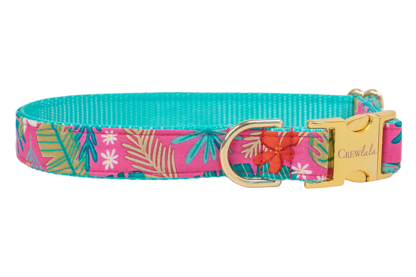Bali Breeze Belle Bow Dog Collar - Crew LaLa
