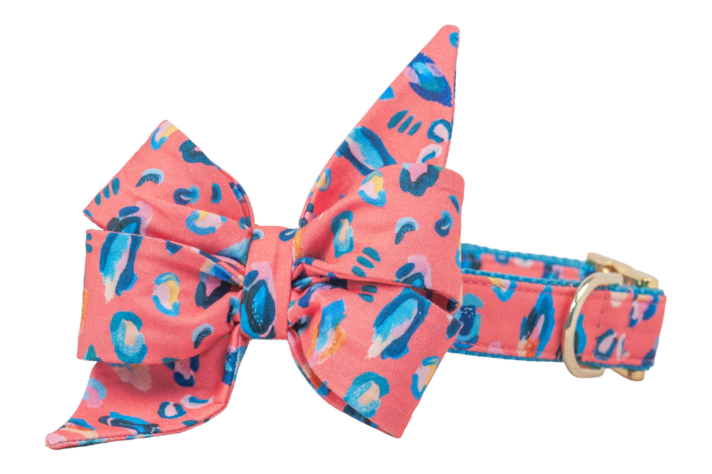 Wild Cat Belle Bow Dog Collar - Crew LaLa