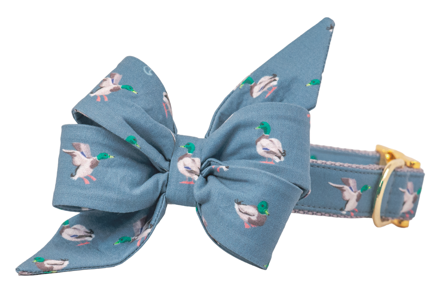 Dapper Duck Belle Bow Dog Collar - Crew LaLa