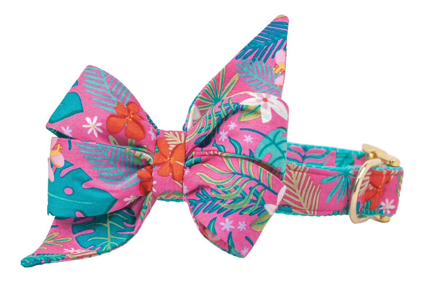Bali Breeze Belle Bow Dog Collar - Crew LaLa