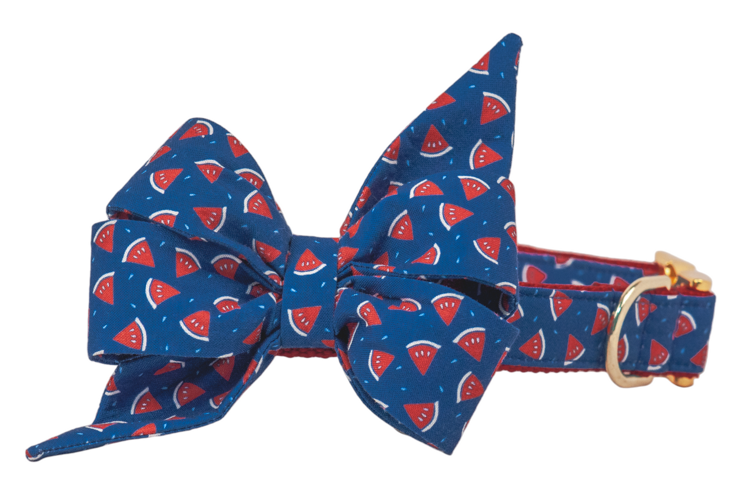Watermelon Toss Belle Bow Dog Collar - Crew LaLa