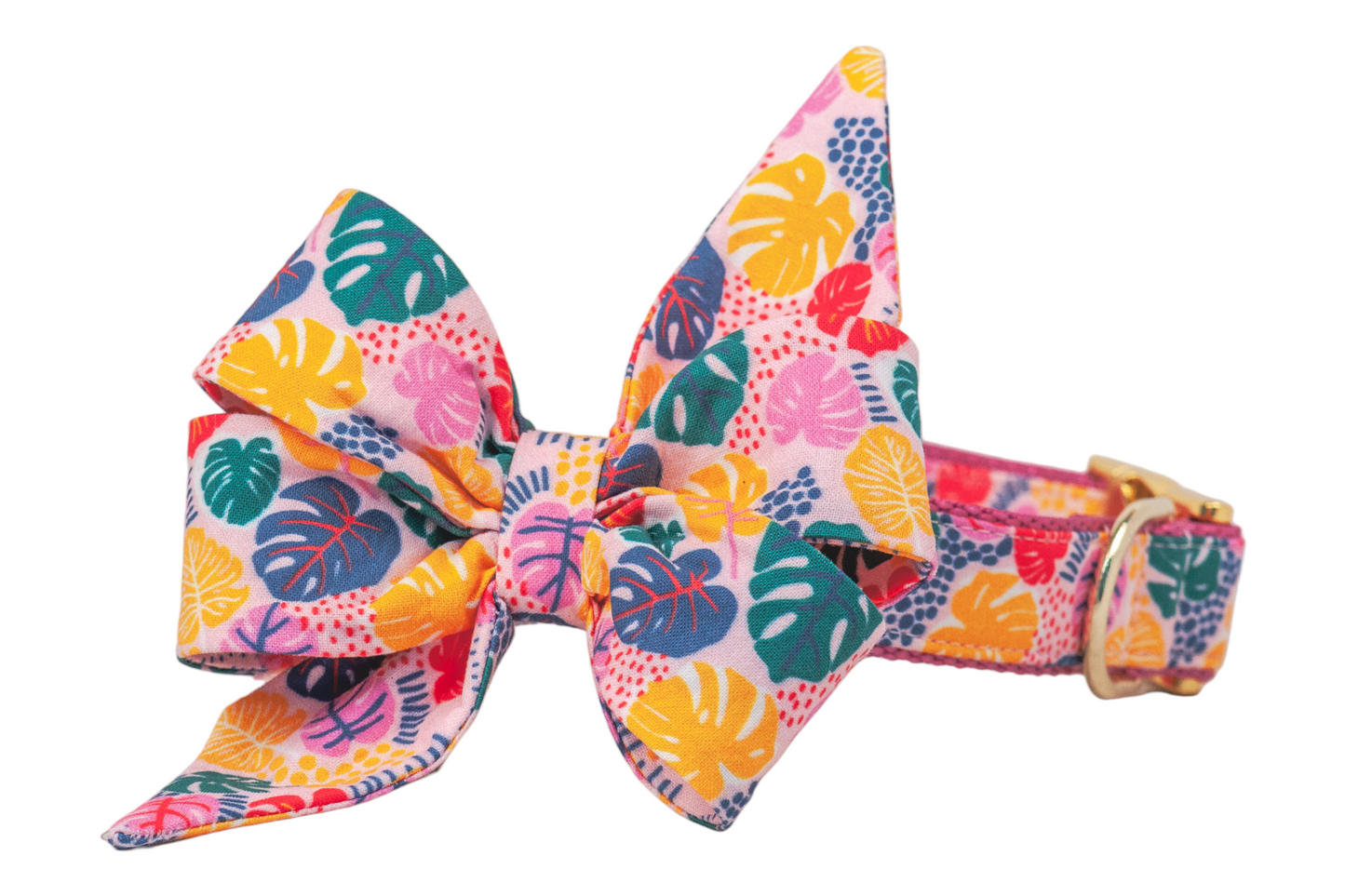 Pop Art Palms Belle Bow Dog Collar - Crew LaLa