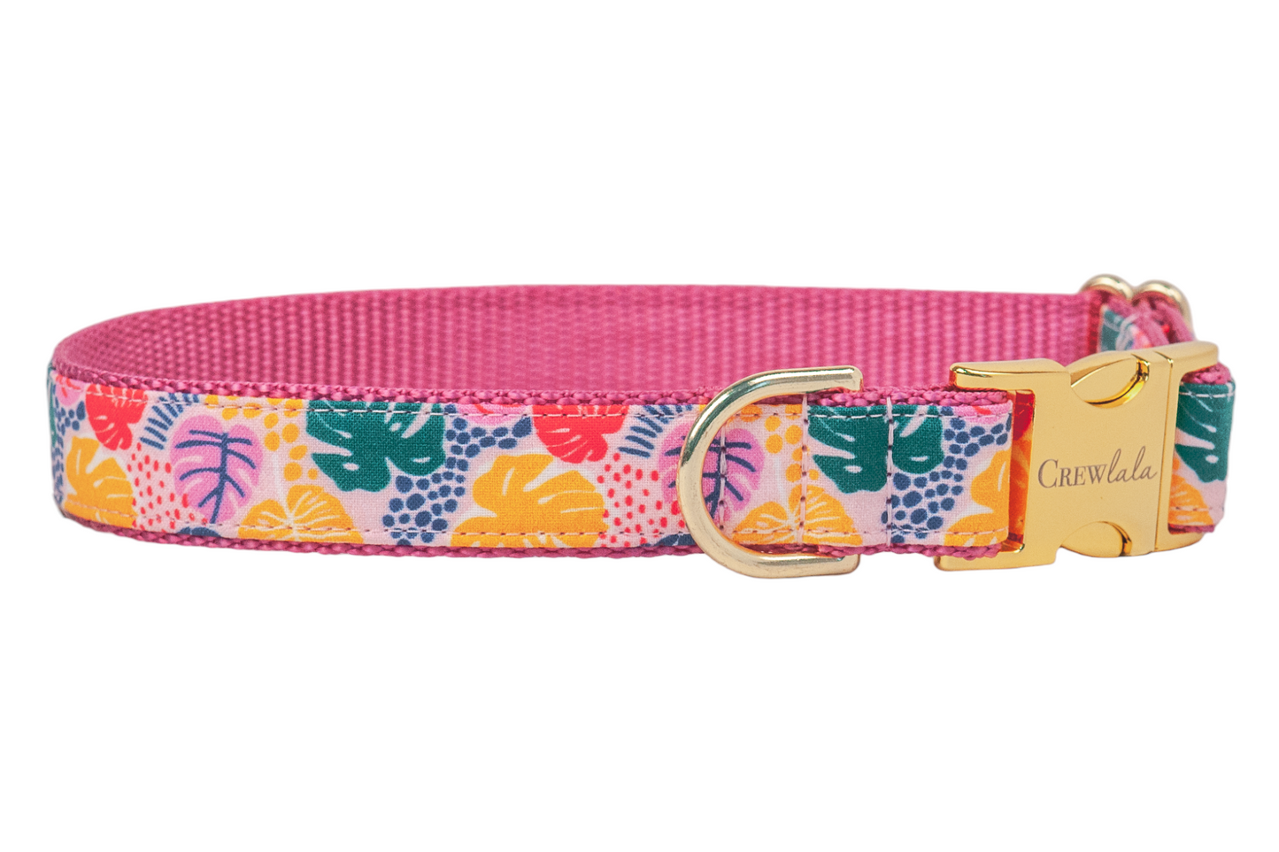 Pop Art Palms Belle Bow Dog Collar - Crew LaLa