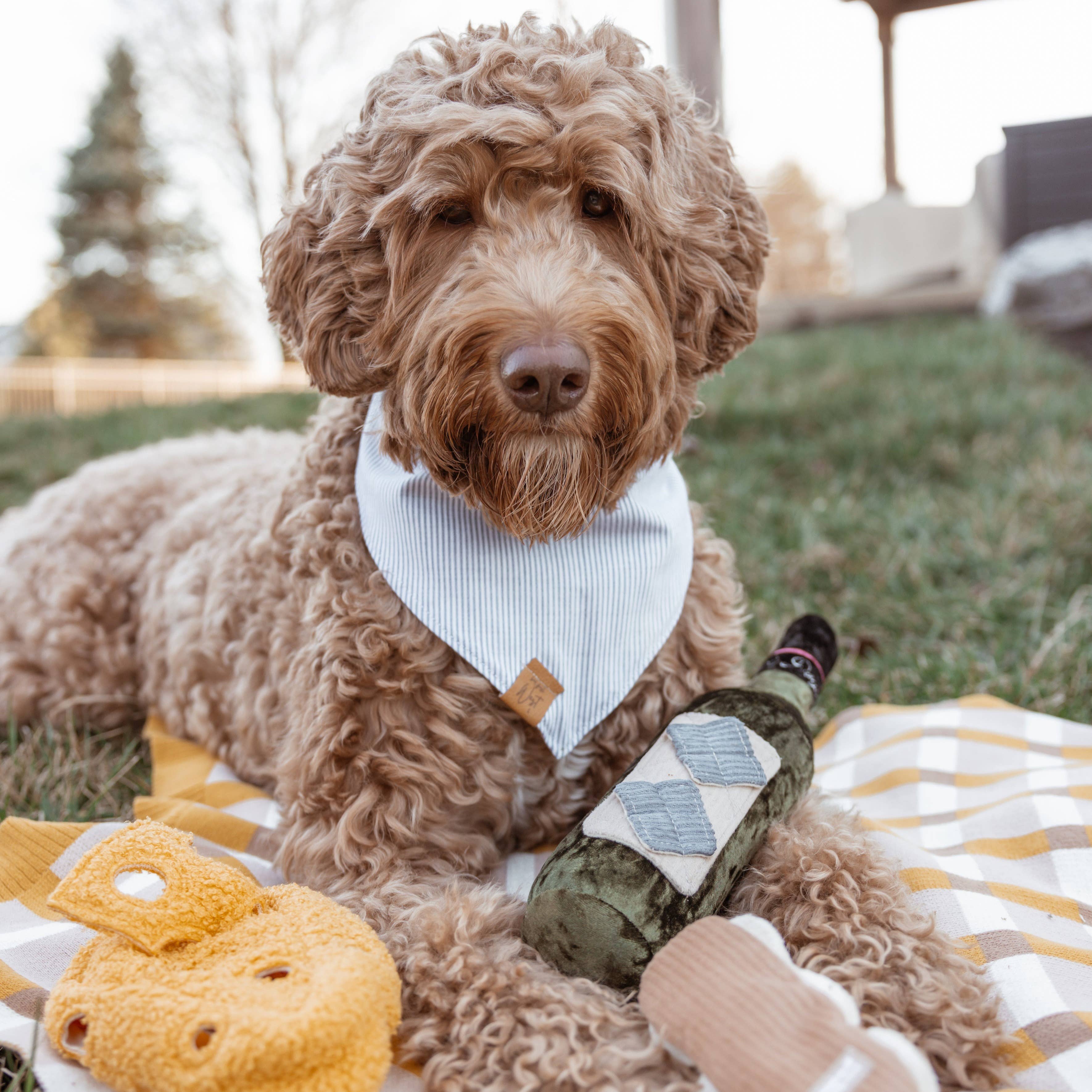 MERLOT // ENRICHMENT DOG TOY // SNUFFLE TOY - Crew LaLa