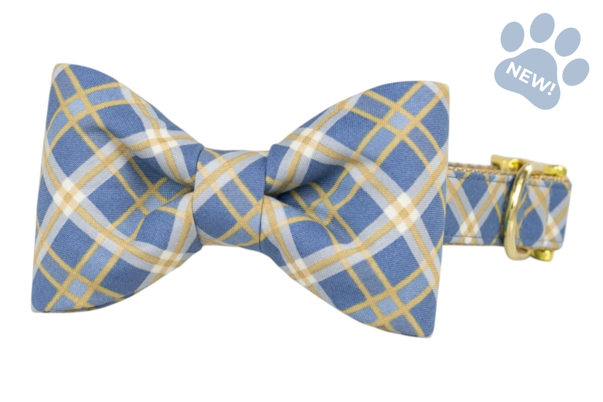 Blue Ridge Plaid Bow Tie Collar