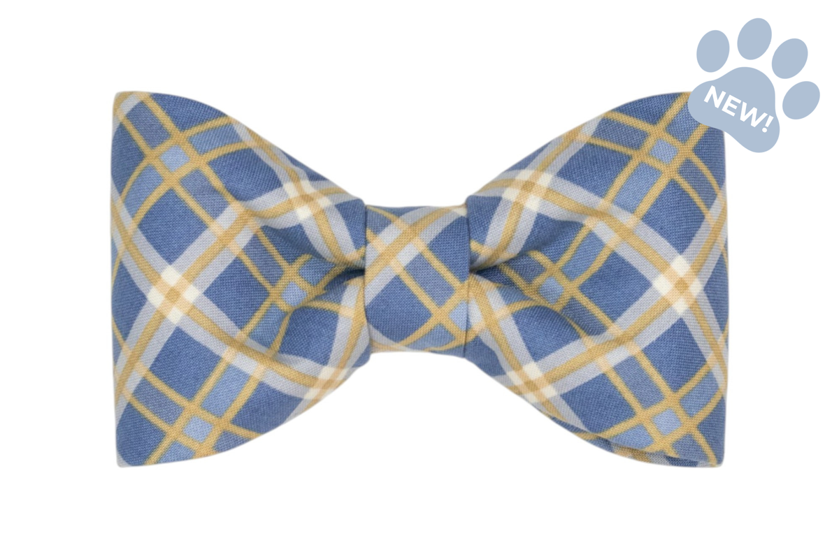 Blue Ridge Plaid Bow Tie Collar