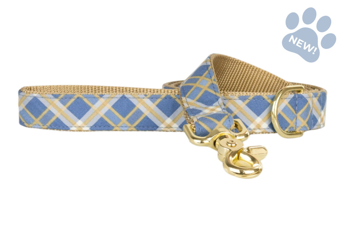 Blue Ridge Plaid Dog Leash