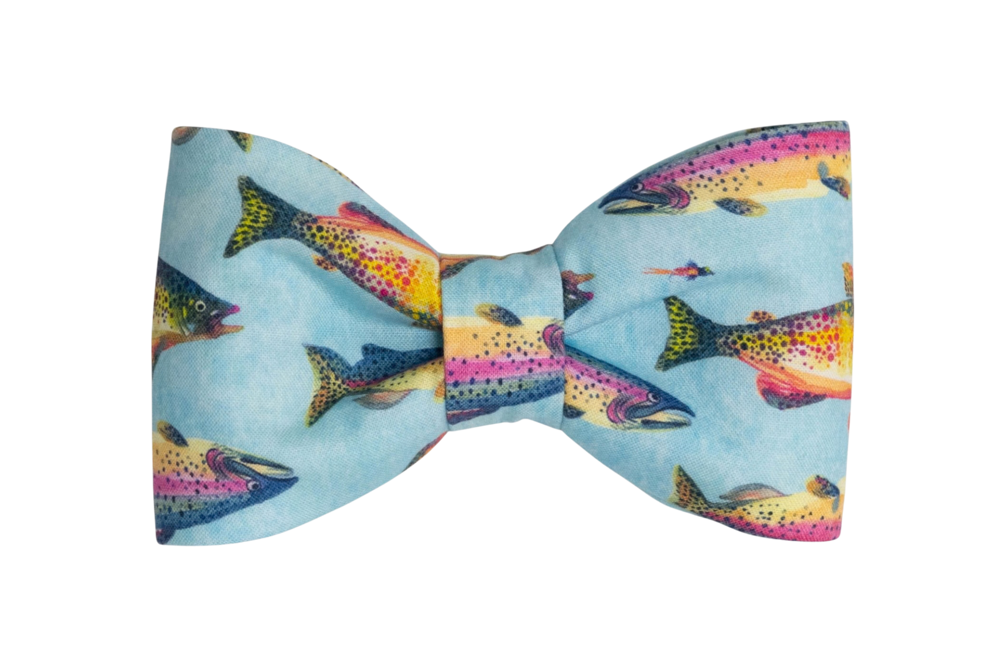 Colorful Catch Bow Tie