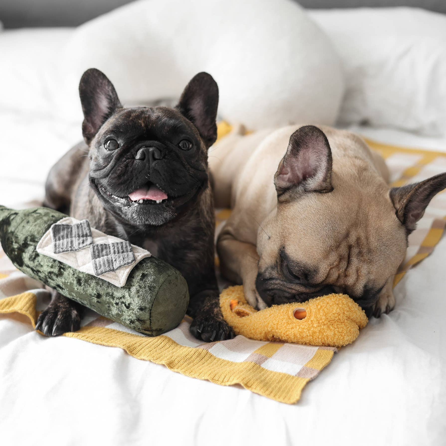 FROMAGE // ENRICHMENT DOG TOY // SNUFFLE TOY - Crew LaLa
