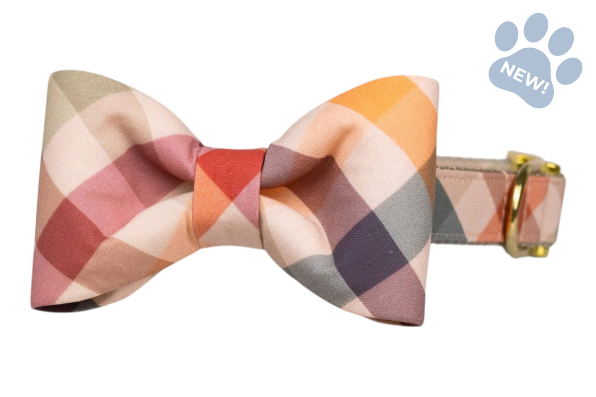 Orchard Plaid Bow Tie Collar