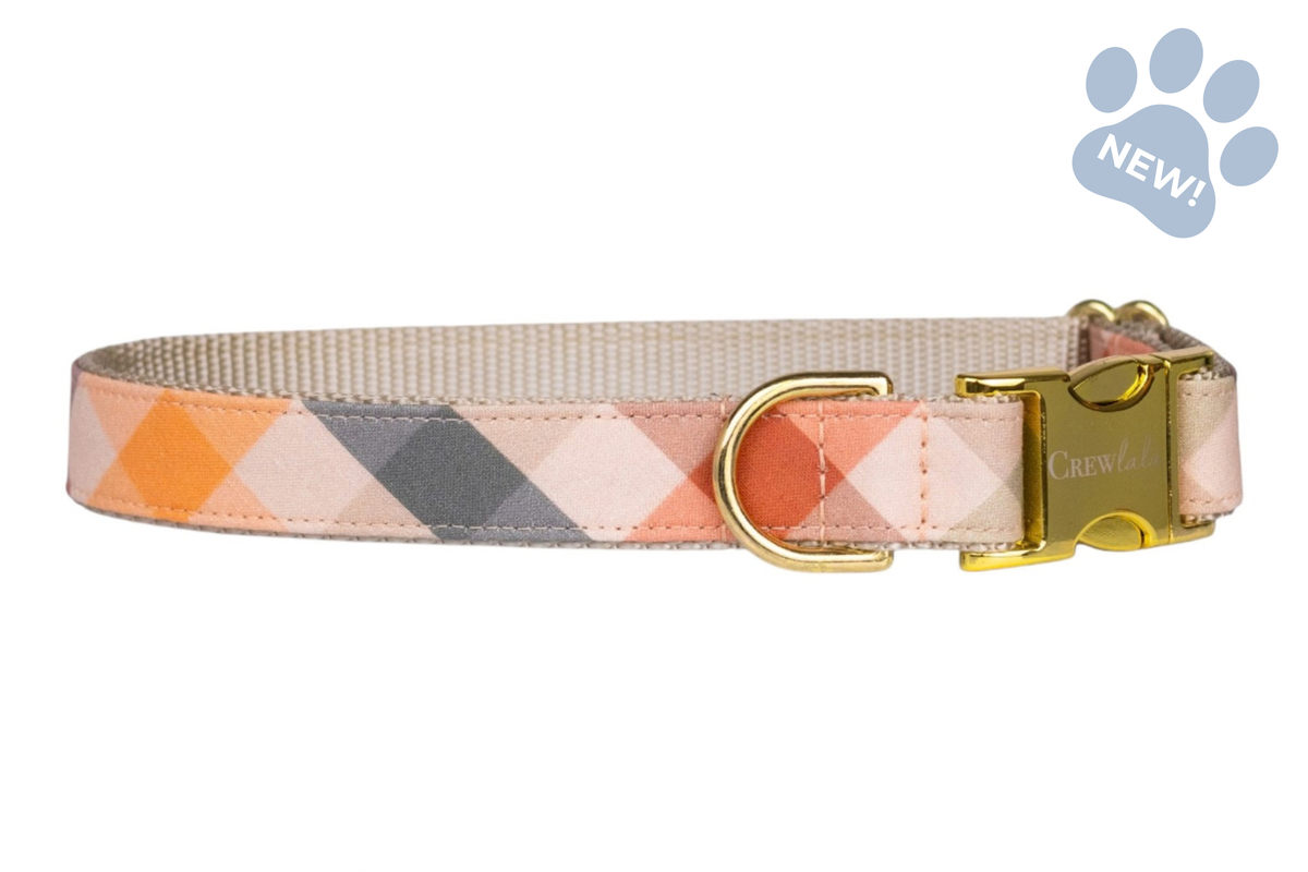 Orchard Plaid Bow Tie Collar