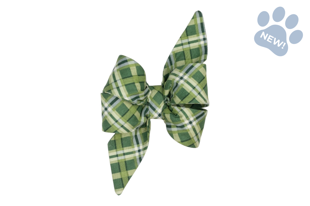Pinehurst Plaid Belle Bow Collar