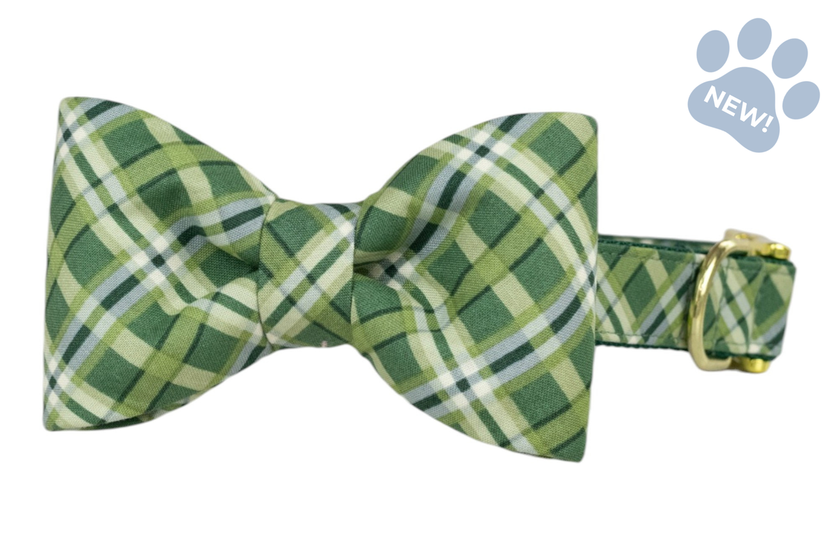 Pinehurst Plaid Bow Tie Collar