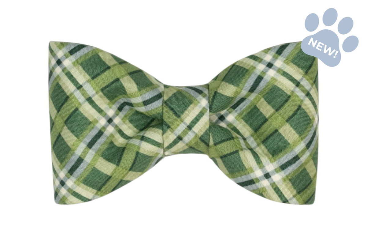 Pinehurst Plaid Bow Tie Collar