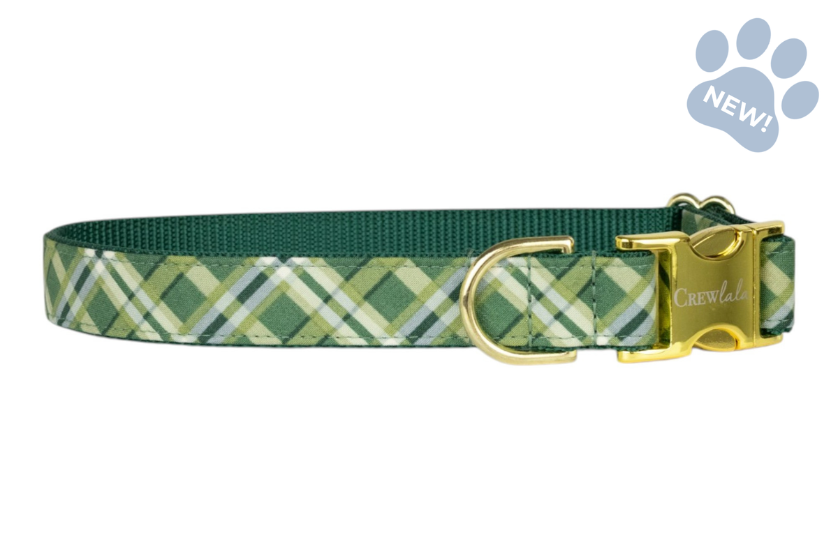 Pinehurst Plaid Belle Bow Collar