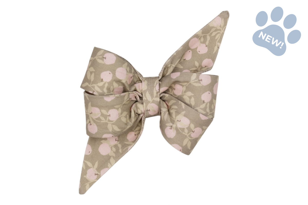 Pink Lady Belle Bow Collar
