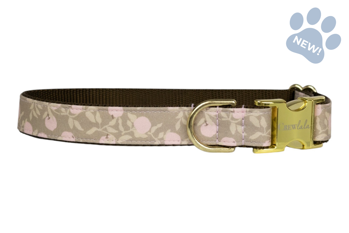 Pink Lady Bow Tie Collar