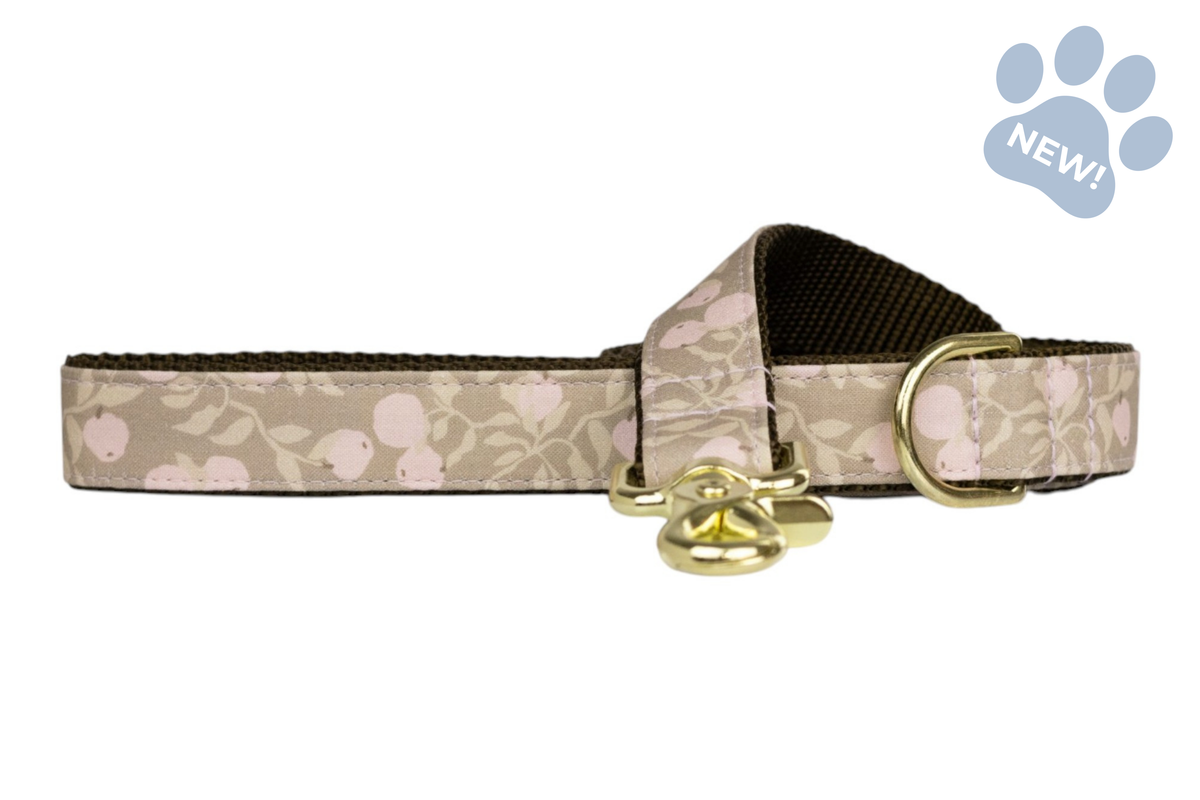 Pink Lady Dog Leash