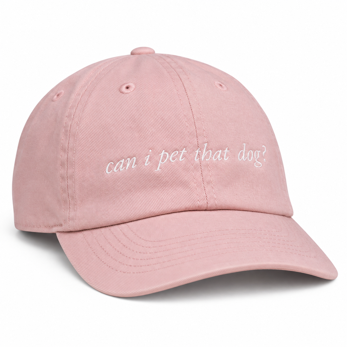 Pink can i pet that dog? Baseball Hat — front view