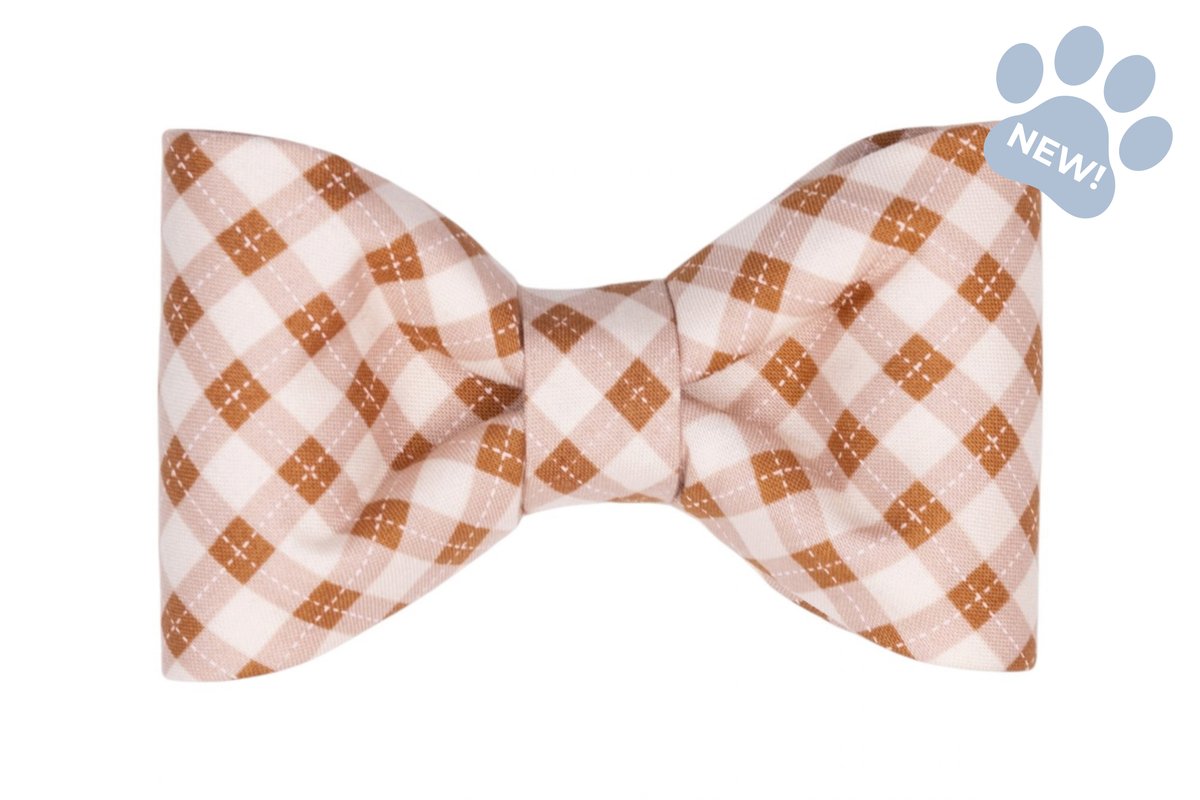 Prosecco Plaid Bow Tie