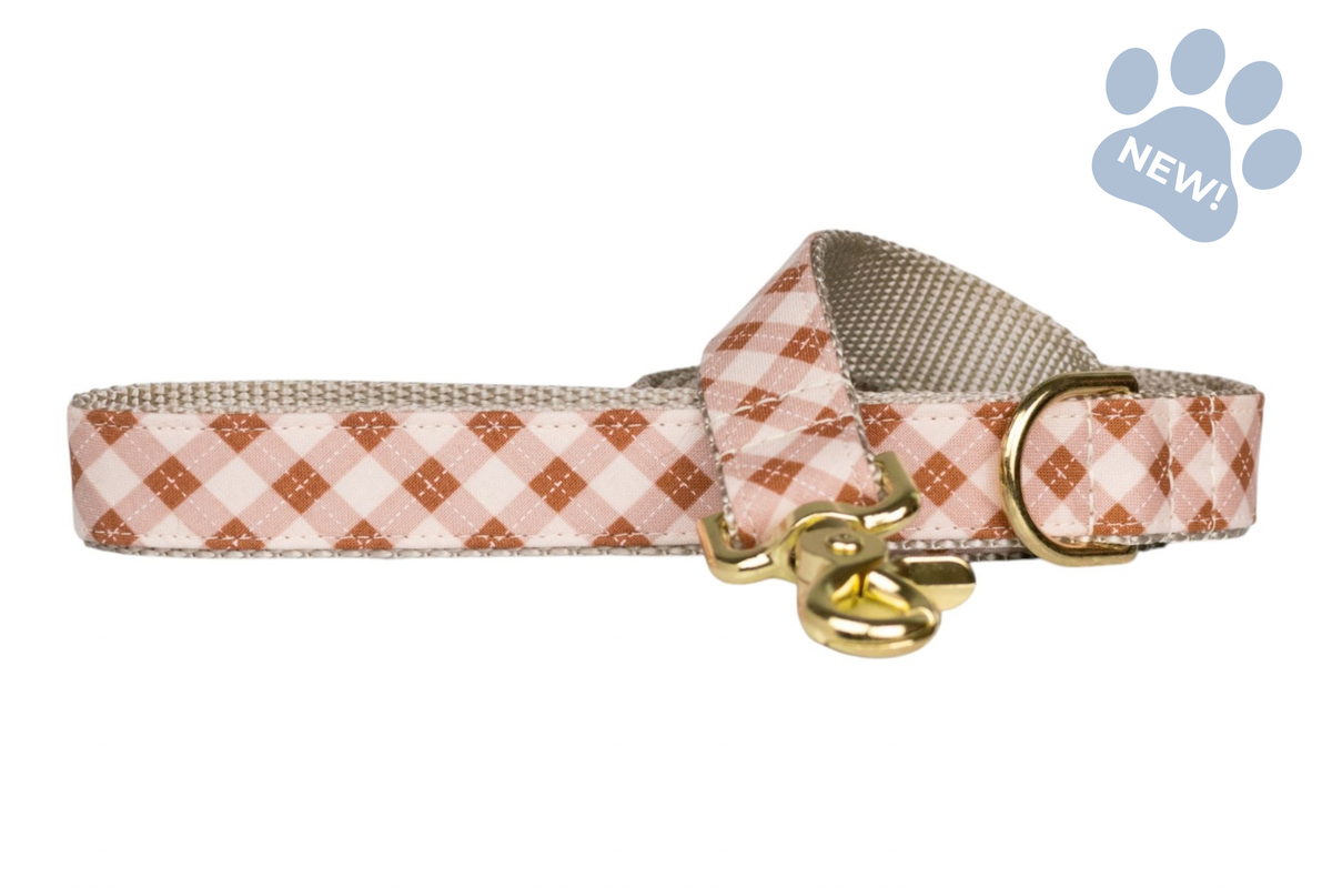Prosecco Plaid Dog Leash