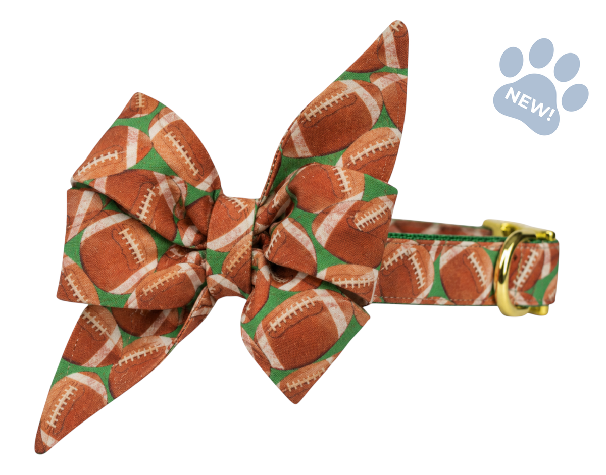 Touchdown Belle Bow Collar