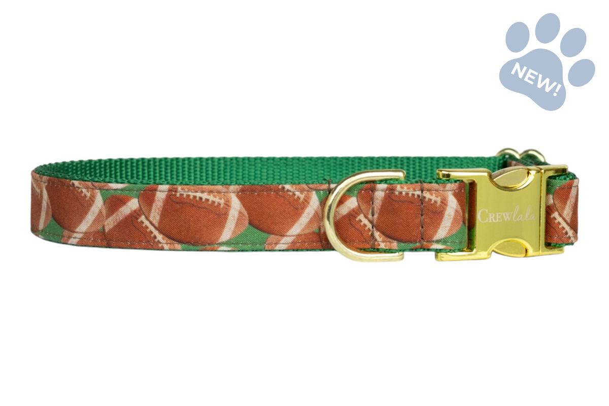 Touchdown Dog Collar