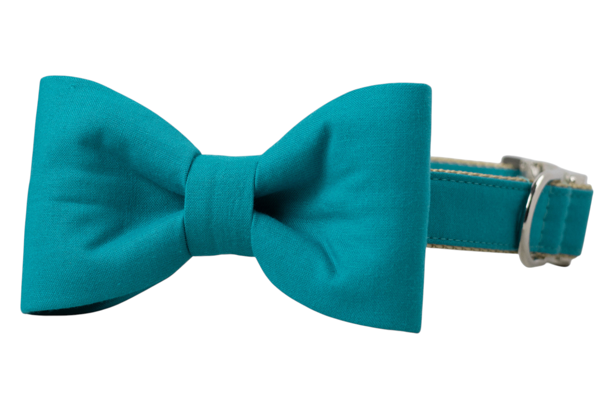 Caribbean Bow Tie Dog Collar - Crew LaLa