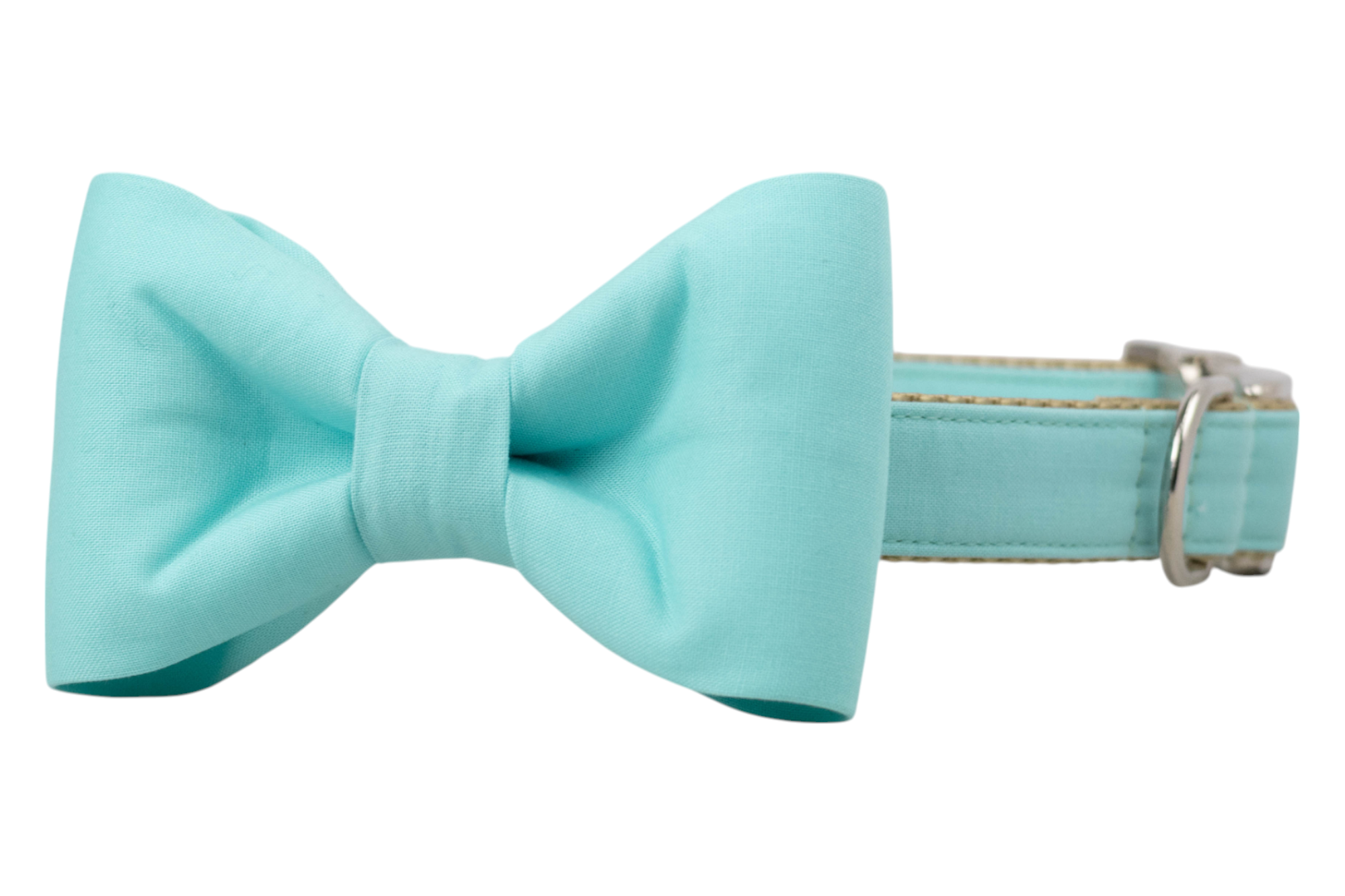 Bahama Blue Bow Tie Dog Collar - Crew LaLa