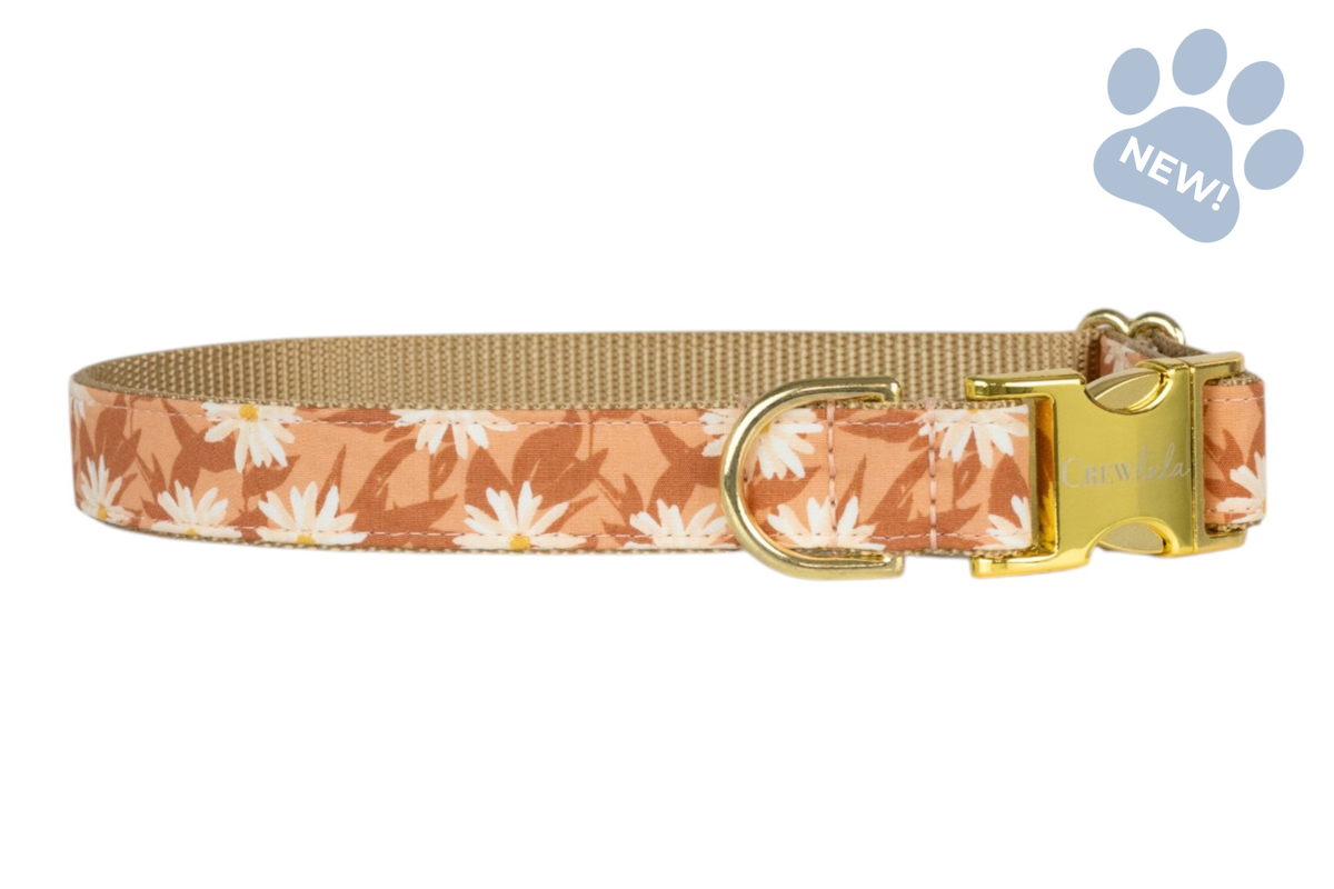 Wild Aster Bow Tie Collar