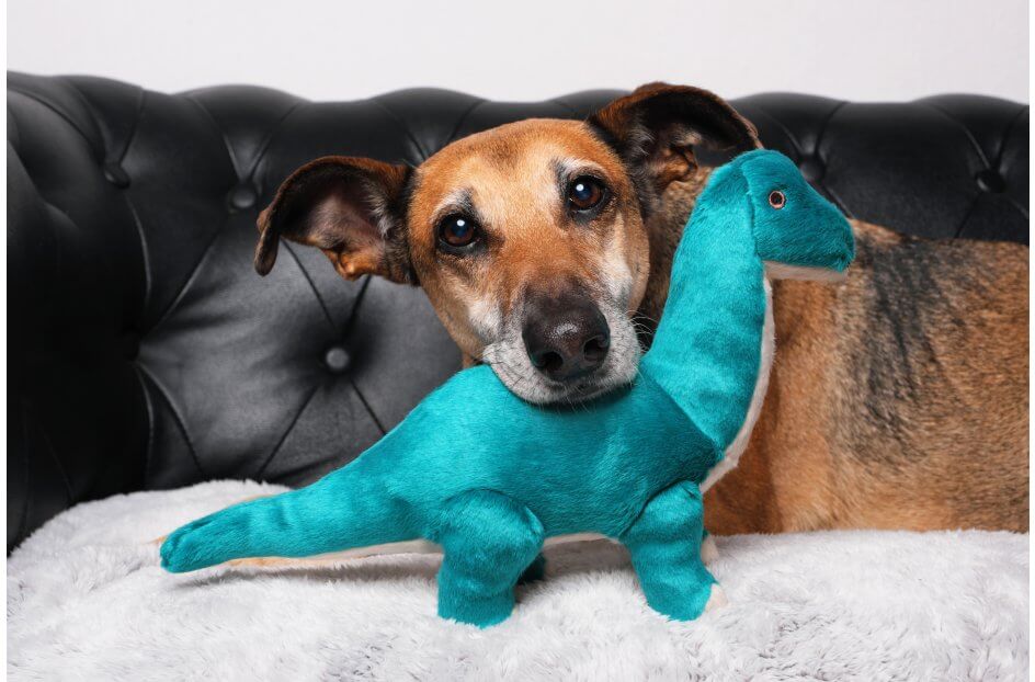 Fluff & Tuff™ "Ross the Brachiosaurus" Dog Toy - Crew LaLa