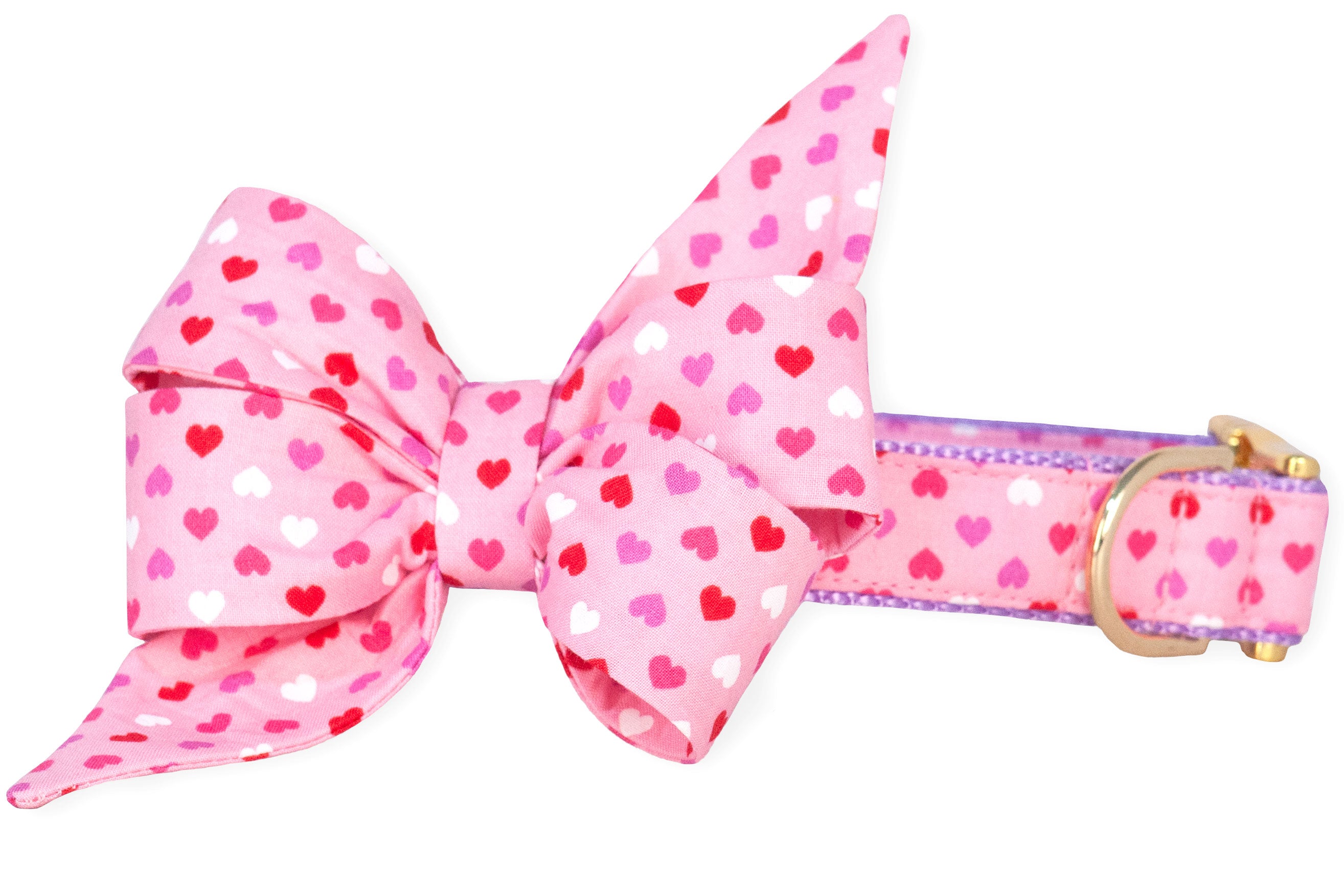 Candy Hearts Belle Bow Dog Collar - Crew LaLa